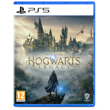 PS5 Hogwarts Legacy