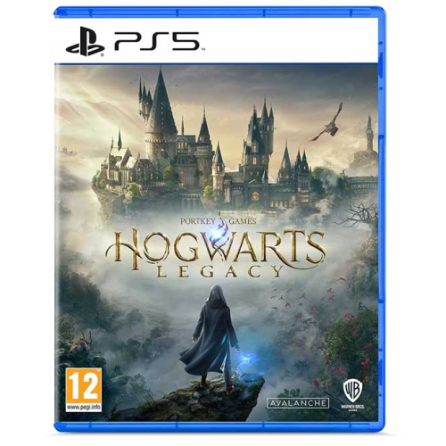 PS5 Hogwarts Legacy