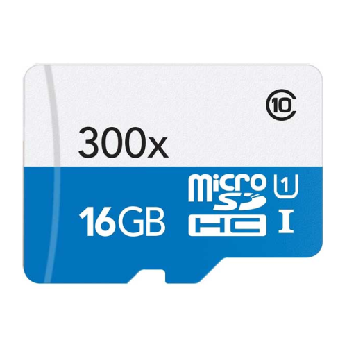 16 GB Micro SD Card