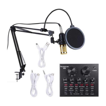Condenser Microphone & Live Sound Card