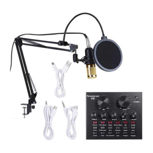 Condenser Microphone & Live Sound Card